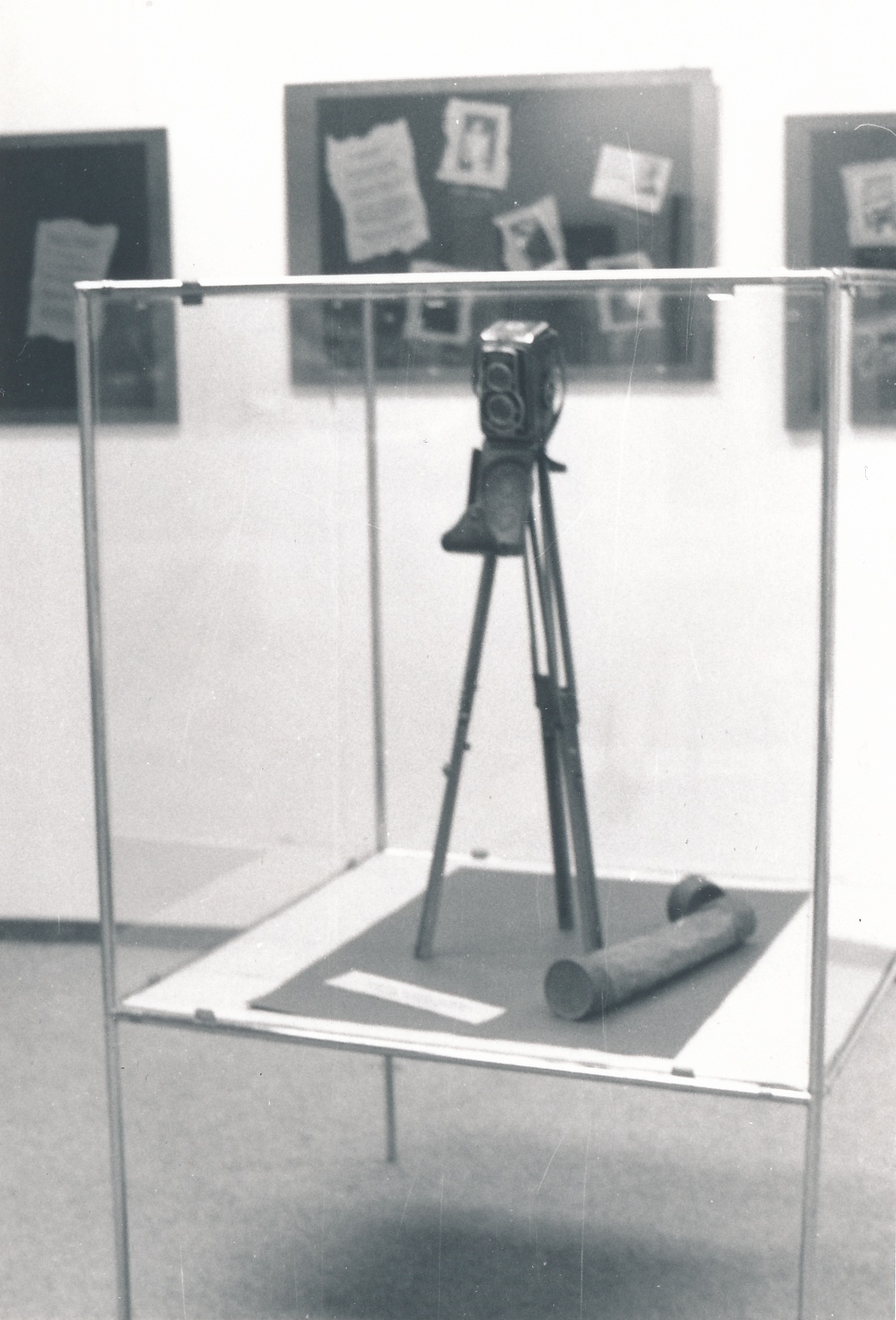 eika image